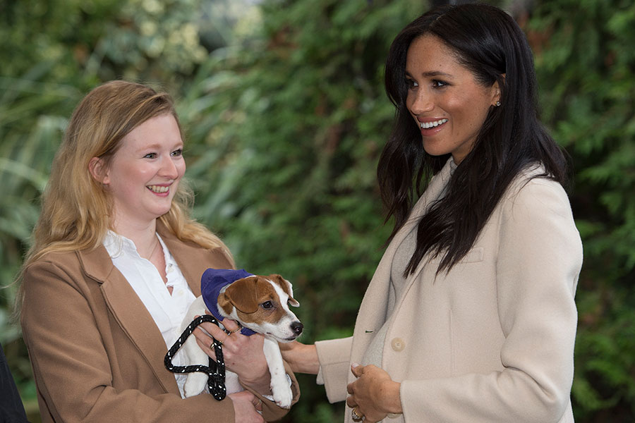 Meghan Markle en Mayhew