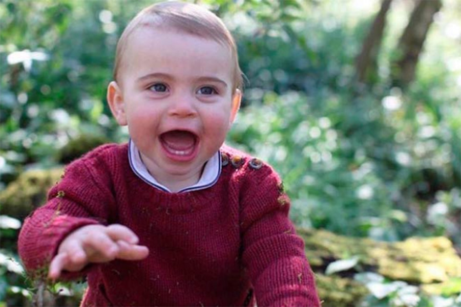 Primer año del príncipe Louis