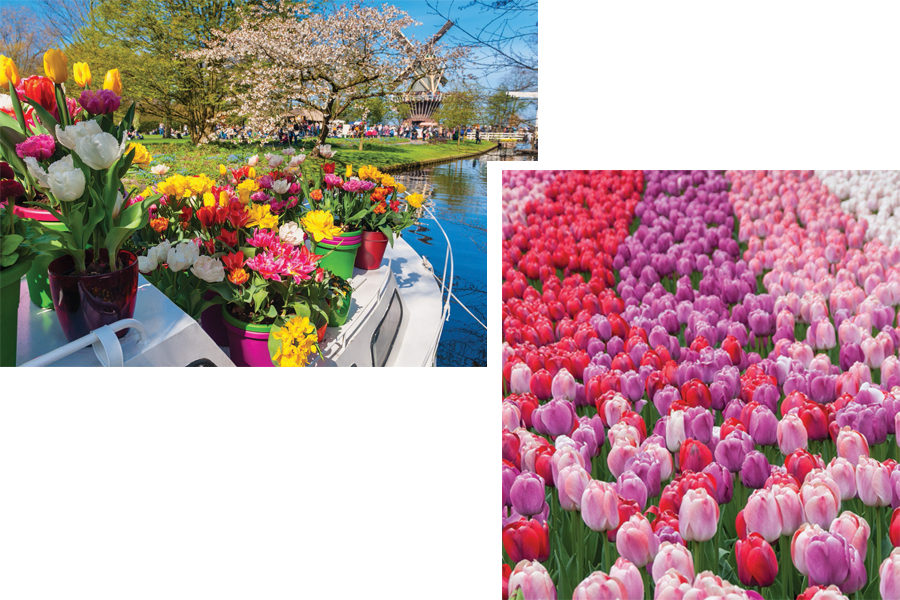 Jardines de Keukenhof