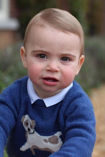 Primer año del príncipe Louis