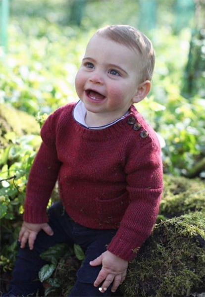 Primer año del príncipe Louis