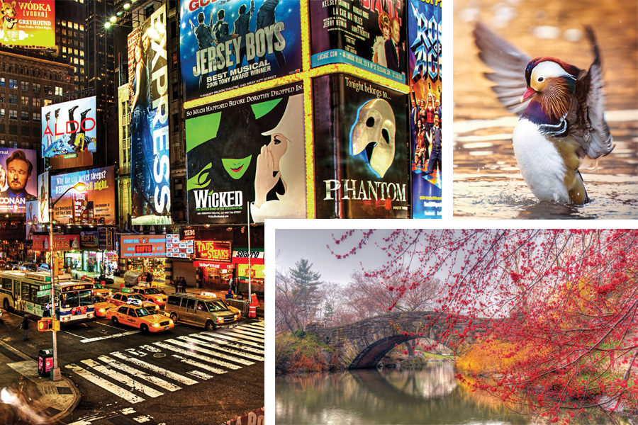 New York
