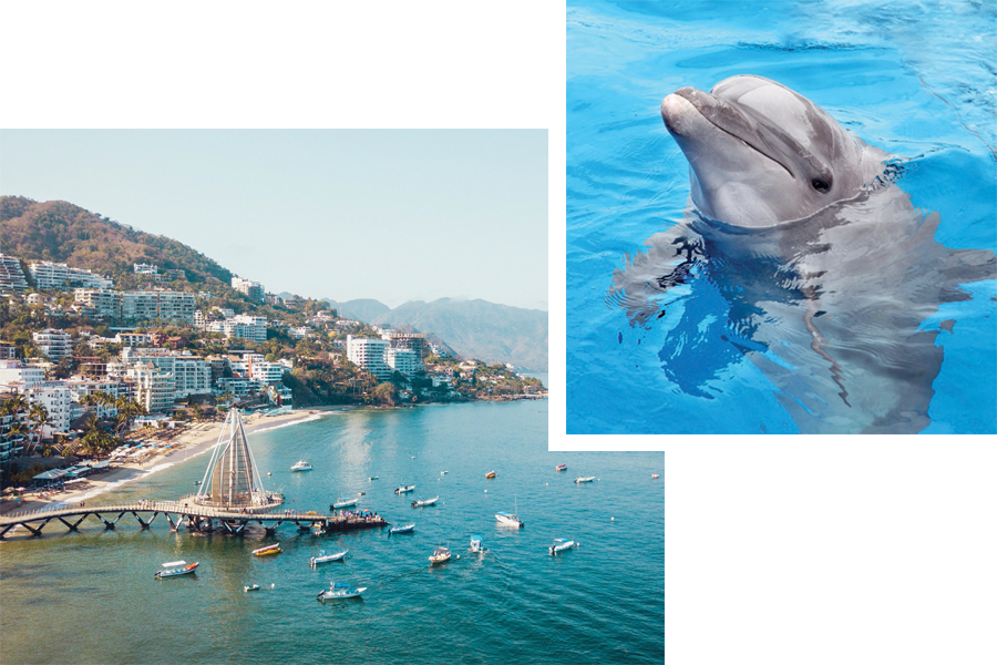 Puerto Vallarta