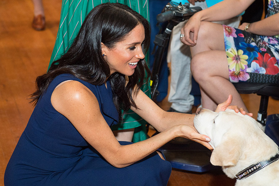 Meghan Markle y perro