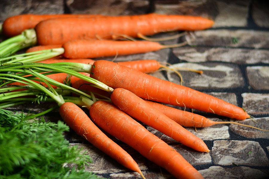 Zanahorias