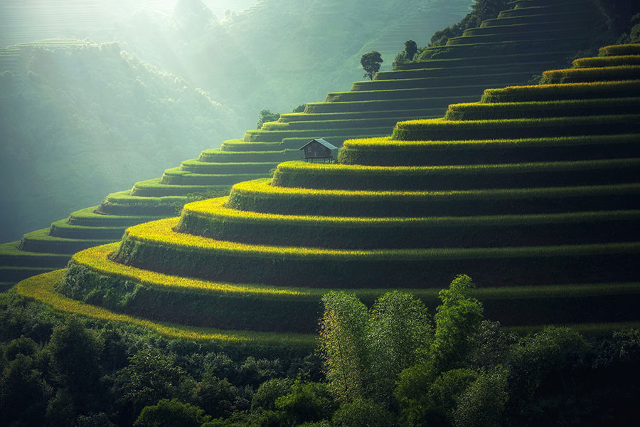 Bali