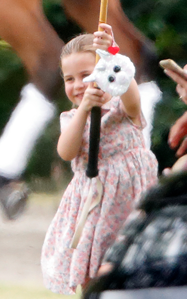 Princesa Charlotte y sus unicornios