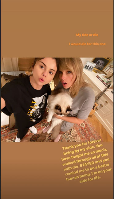Selena Gomez y Taylor Swift con gato