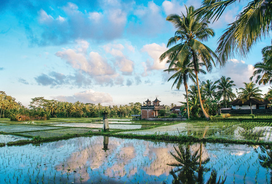 Ubud Un para so aut ntico en el coraz n de la isla de Bali 