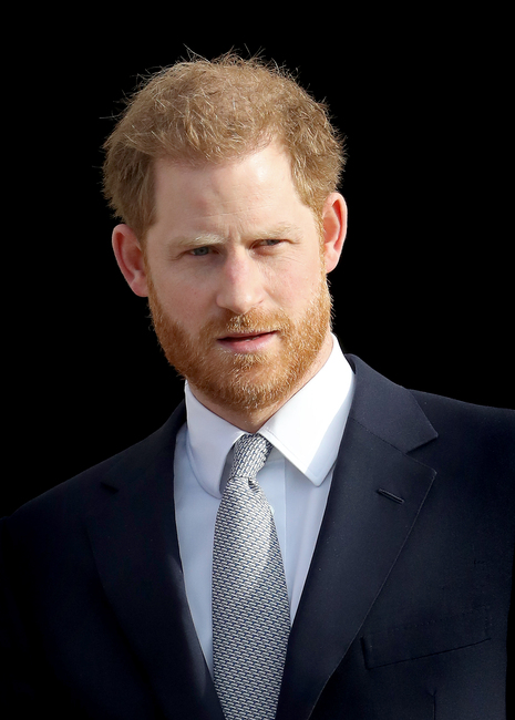 Harry calvo