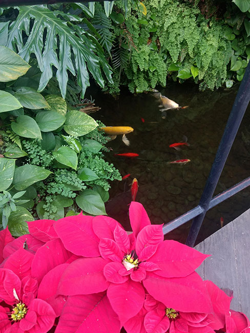 Jardín Botánico de San Antonio