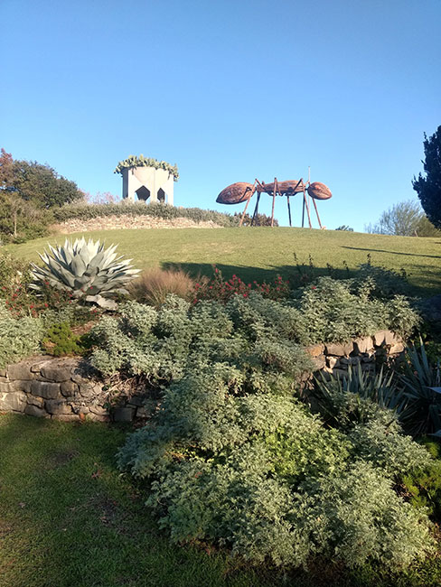 Jardín Botánico de San Antonio