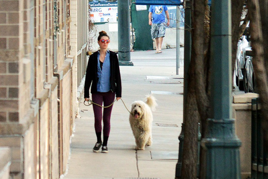 Mujer paseando a su perro