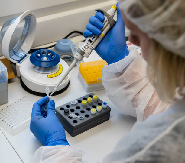 Descubren un virus de gripe porcina propicio para una nueva pandemia
