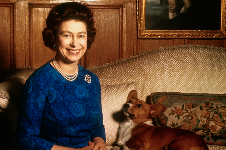 Los corgis de Isabel II tienen su propio menú personalizado