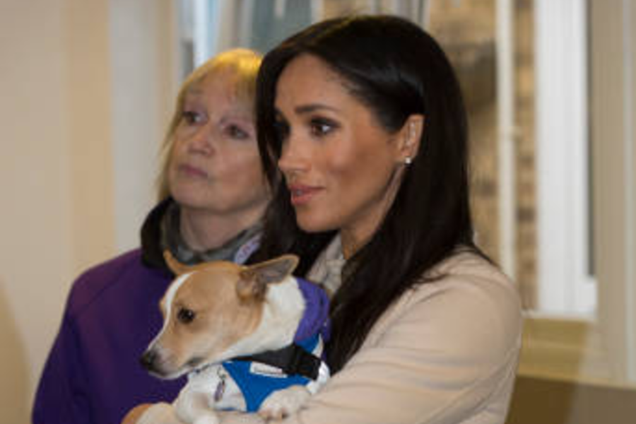 Meghan Markle amadrina un perro en nombre de su hijo Archie
