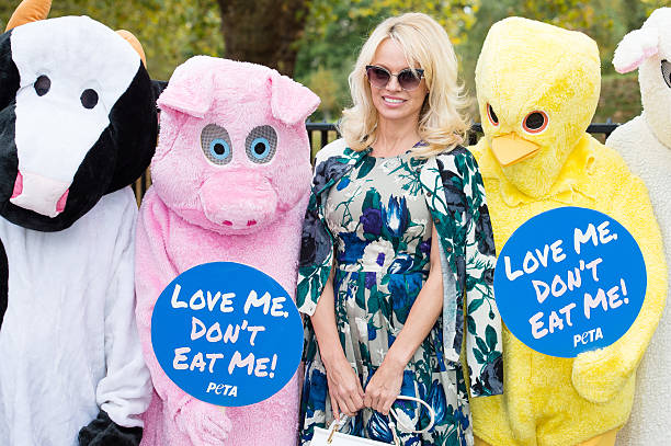 Pamela Anderson le hace una interesante proposición Justin Trudeau