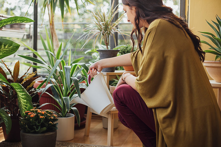 La jardinería, una terapia agradable y permanente