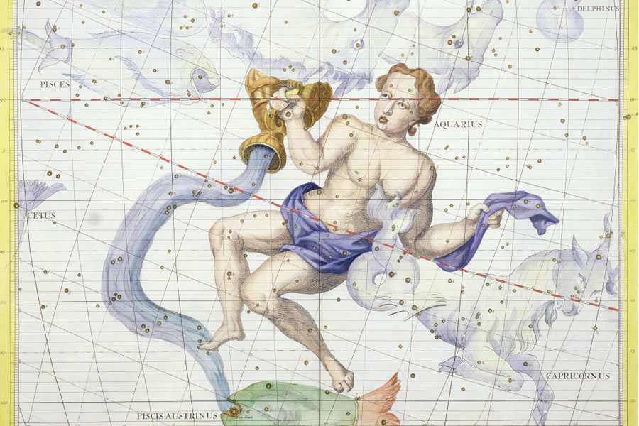 acuario
