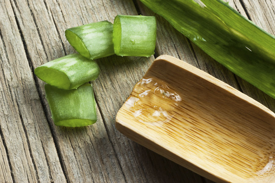 aloe vera