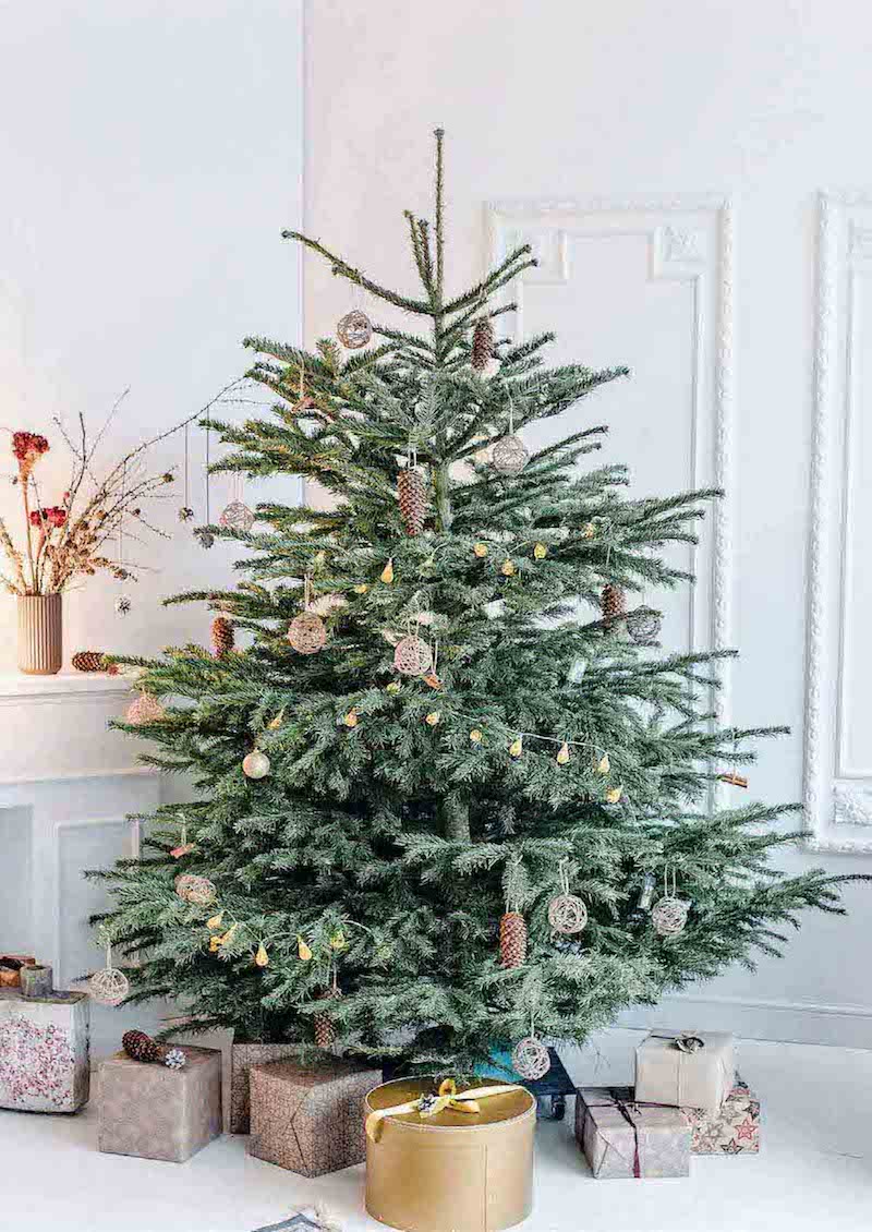 árboles de navidad 2020