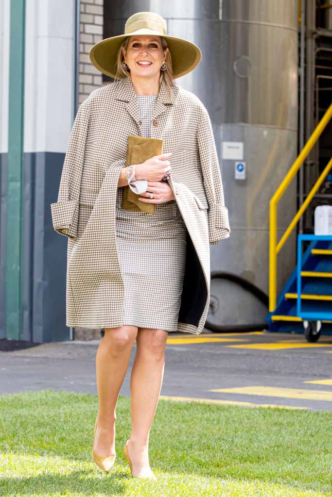 máxima de holanda look fábrica pata de gallo