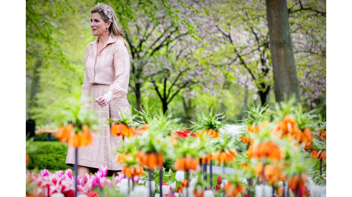 máxima de holanda celebracion anticipada cumpleaños 50