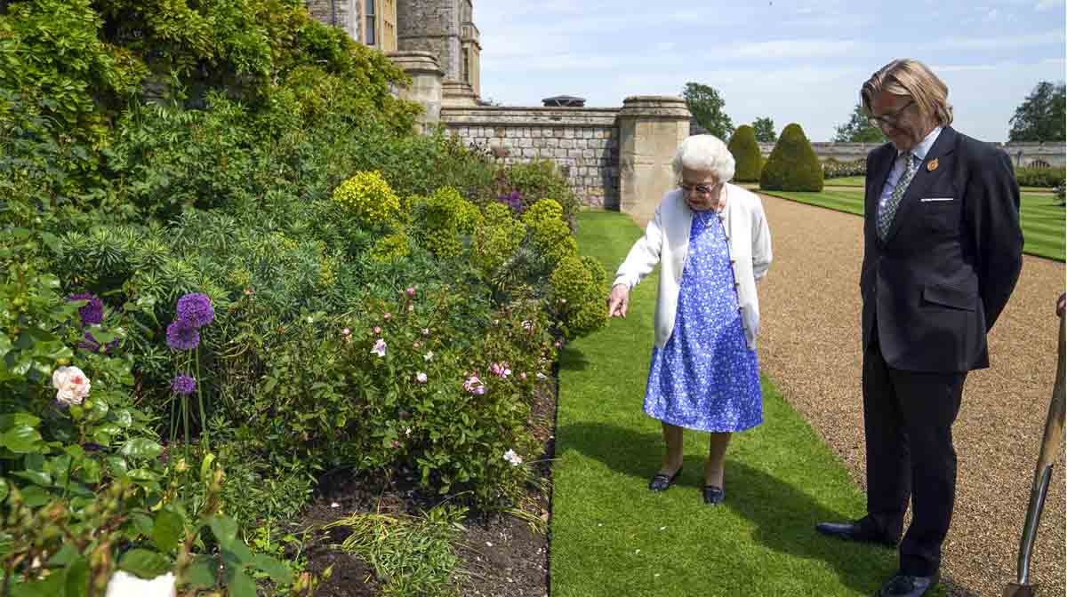La rosa del duque de Edimburgo: a la reina Isabel II le dieron un significativo regalo por lo que habría sido el cumpleaños 100 del príncipe Felipe.